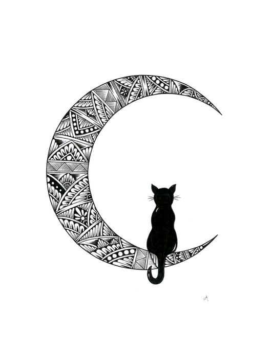 Cat on Moon